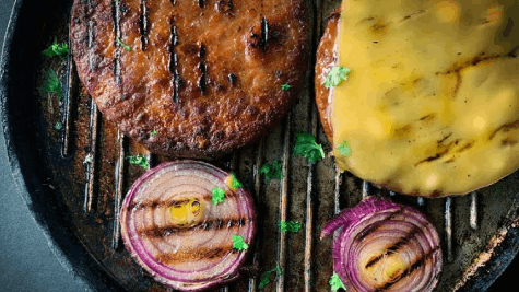 Oleosomes in Meat Replacers Vegan Meat Meat Alternatives